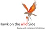 Hawk on the Wild Side Logo